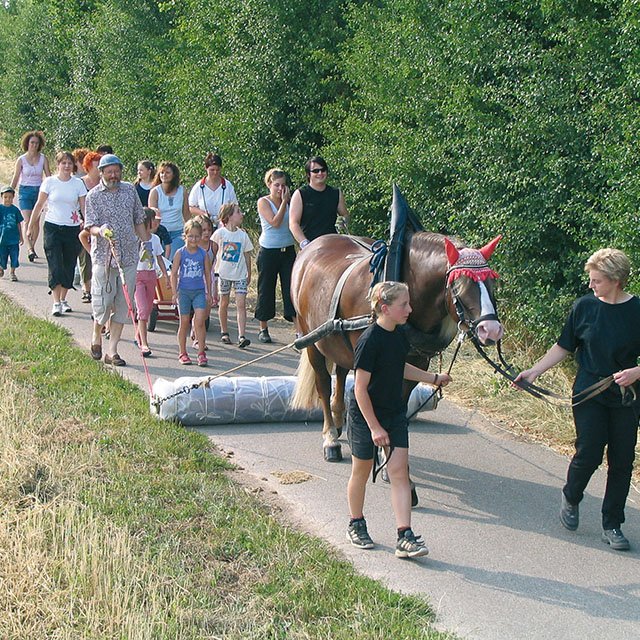 Kinder lernen Filzen...